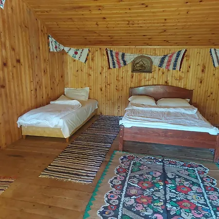 Baiatul Padurii * Victoria (Brasov)
