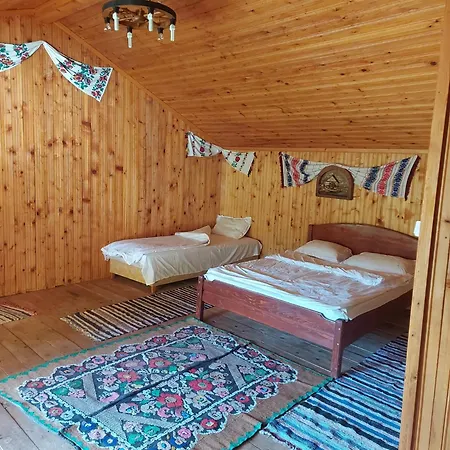 Guest house Baiatul Padurii