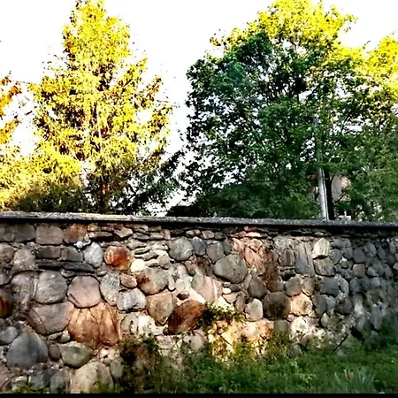 Baiatul Padurii Victoria (Brasov)