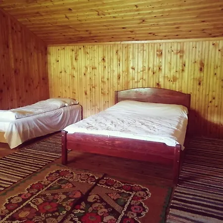 Guest house Baiatul Padurii