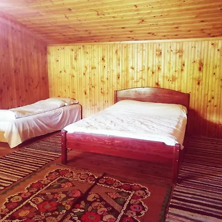 Baiatul Padurii Guest house