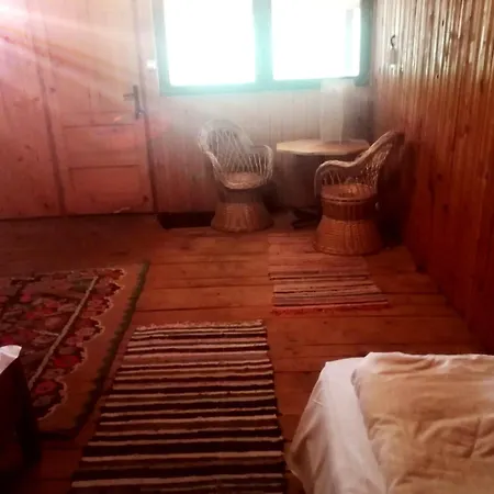 Baiatul Padurii Guest house *