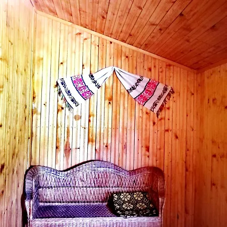 Baiatul Padurii