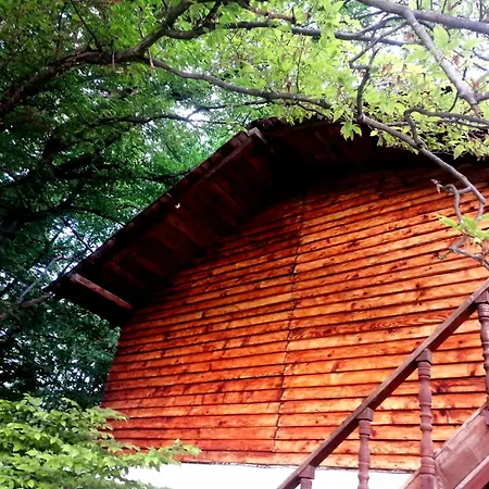 Guest house Baiatul Padurii Victoria (Brasov)